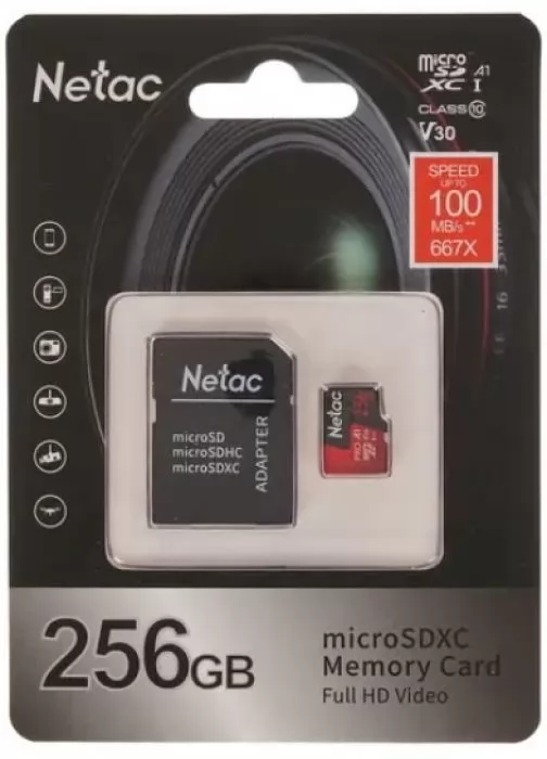 Netac NT02P500PRO-256G-R