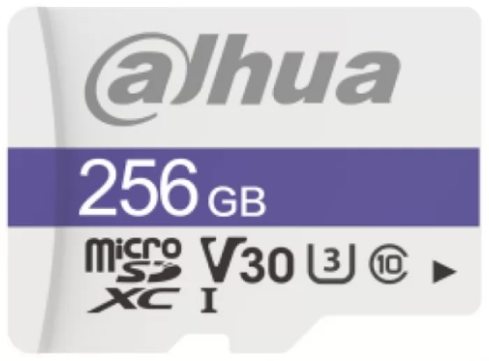 Dahua DHI-TF-C100/256GB