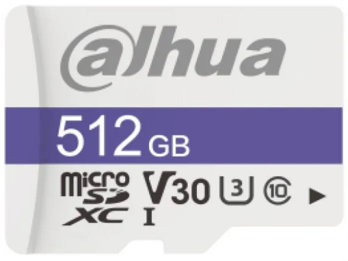 Dahua DHI-TF-C100/512GB