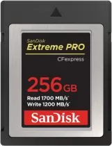 SanDisk SDCFE-256G-GN4NN