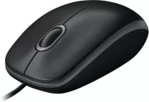 Logitech B100