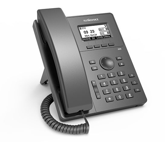 Телефон VoiceIP Flying Voice P10P IP телефон, 2xEthernet 10/100, LCD 132x64, 2 аккаунта SIP, G722, Opus, Ipv-6, порт для гарнитуры, книга на 2000 запи