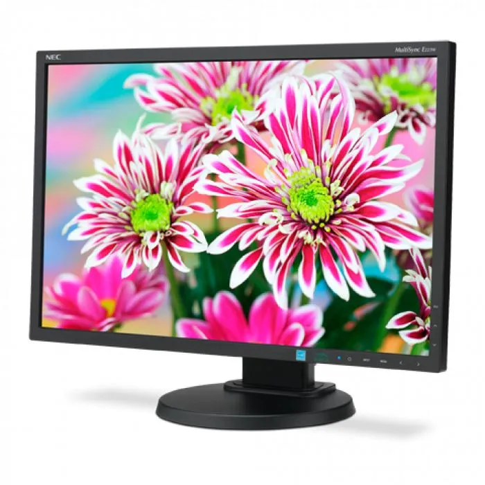 NEC MultiSync E223W