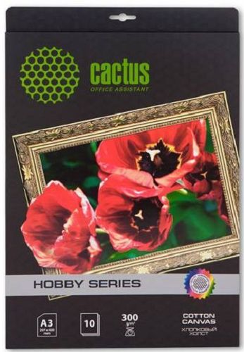 Холст Cactus CS-CA326010 A3/300г/м2/10л./белый для струйной печати