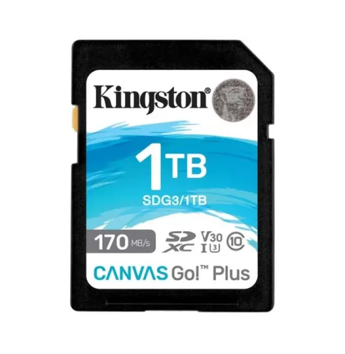 Kingston SDG3/1TB