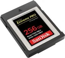 SanDisk SDCFE-256G-GN4NN