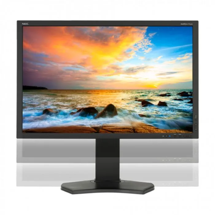 NEC MultiSync P242W