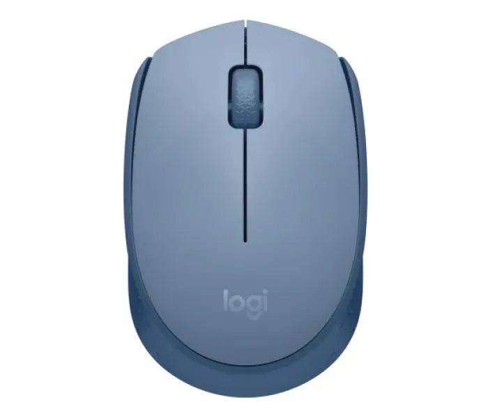 фото Logitech M170