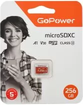 GoPower 00-00025684