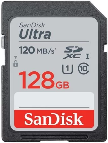 SanDisk SDSDUN4-256G-GN6IN