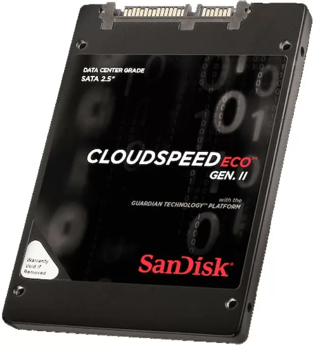 SanDisk SDLF1DAR-480G-1JA1