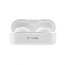 Canyon TWS-1