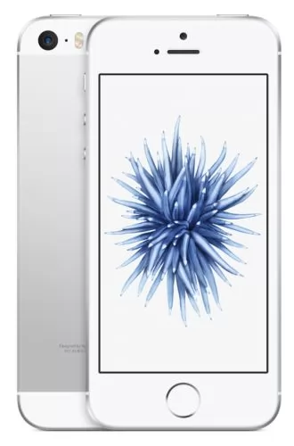Apple iPhone SE 64Gb Silver MLM72RU/A