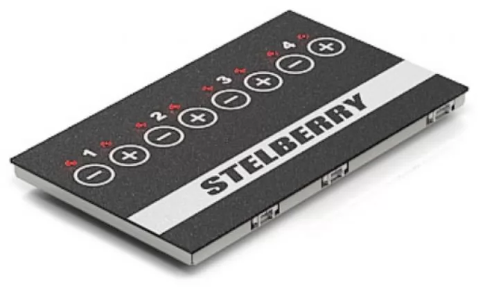 Stelberry MX-300