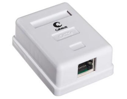 

Розетка Cabeus WS-8P8C-Cat.5e-SH-1 компьютерная RJ-45(8P8C), категория 5e, экранированная, одинарная, внешняя, Krone type, WS-8P8C-Cat.5e-SH-1