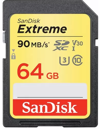 SanDisk SDSDXVE-064G-GNCIN