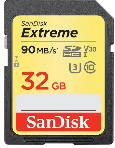 SanDisk SDSDXVE-032G-GNCIN