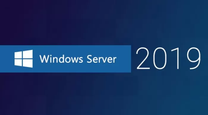 Microsoft Windows Server CAL 2019 English MLP 20 User CAL